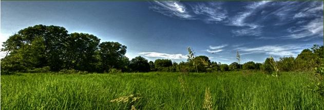 Fowl Meadow