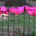 A fence in teh Columbines