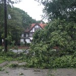Tree down at Valley Rd and Central
