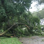 Valley Rd and Central (2)