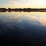 A morning on the Neponset