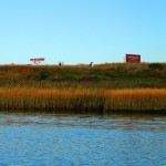 Walkers at Pope John Paul Park