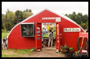 The greenhouse